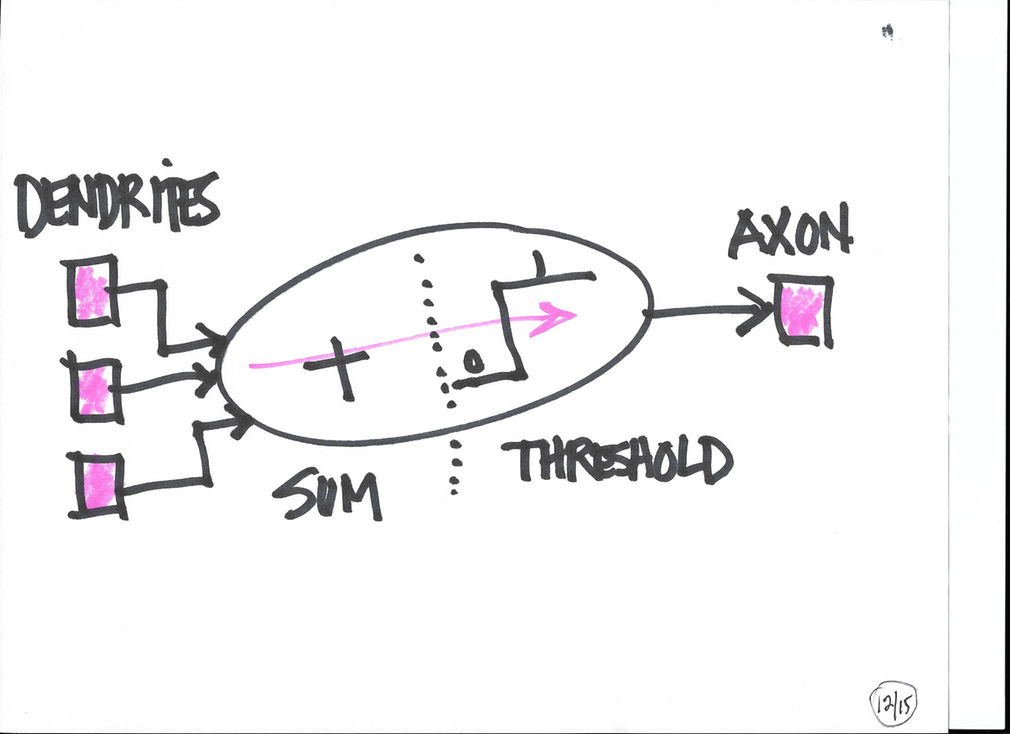 dendrite firing